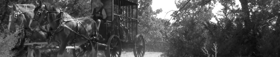 Tumbleweed-Wagon-2